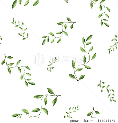 Branch with leaves. Watercolor seamless pattern, hand drawn pastel climbing green liana. Isolated botanical illustration on transparent background. Perfect for tropical design projects. For designers Branch with leaves. Watercolor seamless pattern, hand drawn pastel climbing green liana. Isolated botanical illustration on transparent background. Perfect for tropical design projects. For designers 134931375