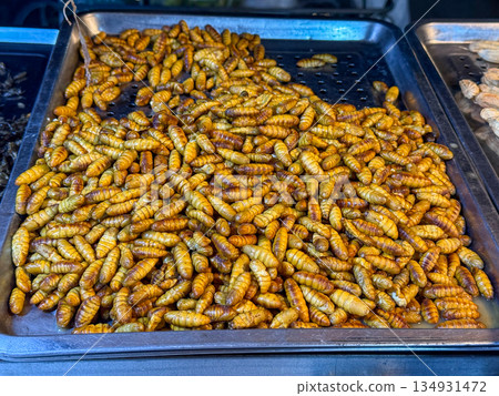 Silkworm Pupae Street Food Silkworm Pupae Street Food 134931472