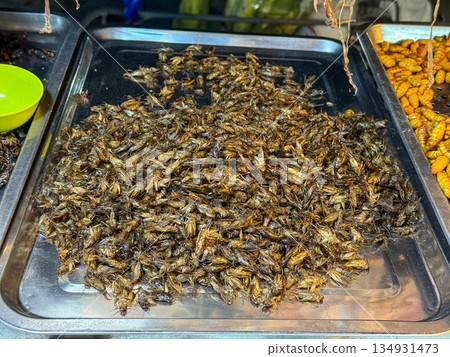 Fried Edible Crickets Street Food 134931473