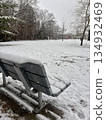 白雪覆蓋的公園長椅和寧靜的冬日景色（加拿大） 134932469