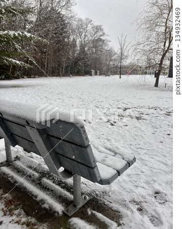 白雪覆蓋的公園長椅和寧靜的冬日景色(加拿大) 白雪覆蓋的公園長椅和寧靜的冬日景色(加拿大) 134932469