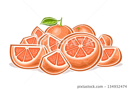 Vector Pink Grapefruit Still Life Vector Pink Grapefruit Still Life 134932474