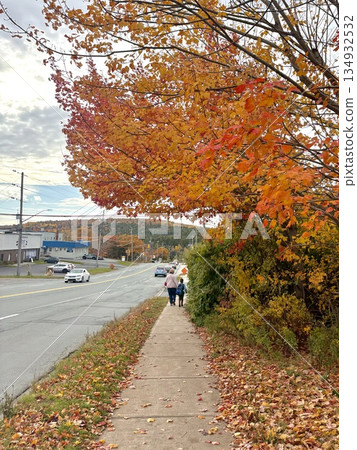 秋葉紅紅，人行道蜿蜒的景色 134932532