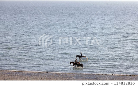 Horses walking through shallow sea 134932930