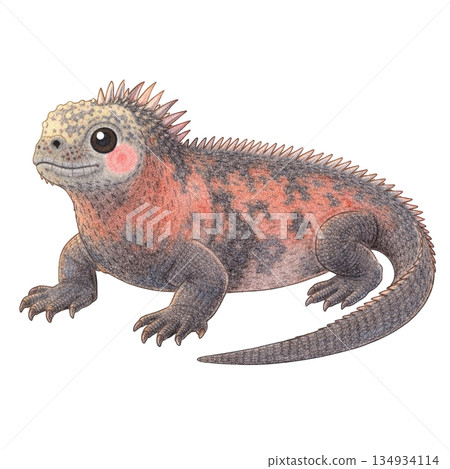 【海洋生物】色鉛筆繪製的海鬣蜥插圖 134934114