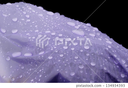Drops of condensation on the polythene film detailed Drops of condensation on the polythene film detailed 134934393