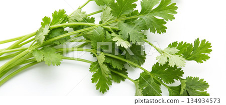 Fresh coriander leaves on a white background. Agriculture and healthy food concept. World Vegan Day Fresh coriander leaves on a white background. Agriculture and healthy food concept. World Vegan Day 134934573