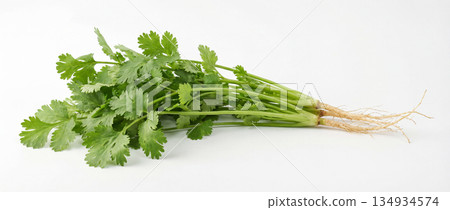 Fresh coriander leaves on a white background. Agriculture and healthy food concept. World Vegan Day 134934574