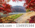 Autumn leaves of Arashiyama 134935344
