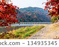 Autumn leaves of Arashiyama 134935345