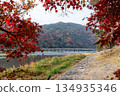 Autumn leaves of Arashiyama 134935346