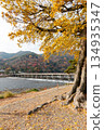 Autumn leaves of Arashiyama 134935347
