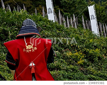 軍事指揮官形象 134935381