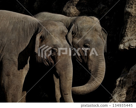 Scenery of Nonhoi Park 134935445