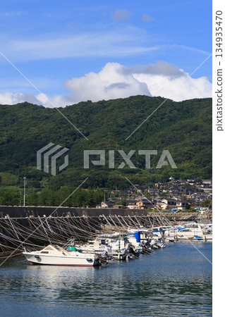 Scenery of a fishing port: Summer sky and fishing port Scenery of a fishing port: Summer sky and fishing port 134935470