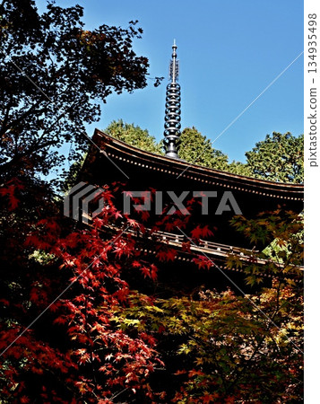 孔雀寺的風景 孔雀寺的風景 134935498
