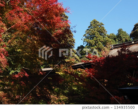 孔雀寺的風景 孔雀寺的風景 134935500