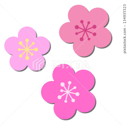 一幅日式風格的插畫，描繪了春天盛開的美麗梅花。 134935523