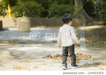 Family playing in the park 134935958