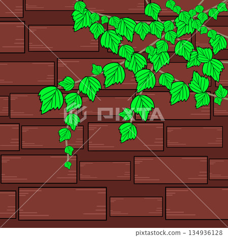 Ivy wall simple Ivy wall simple 134936128