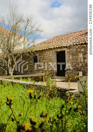 Traditional stone cottage with clay tile roof chimney and leafless tree beside green meadow in rural Portuguese village Fatima Portugal no people. High quality photo Traditional stone cottage with clay tile roof chimney and leafless tree beside green meadow in rural Portuguese village Fatima Portugal no people. High quality photo 134936196