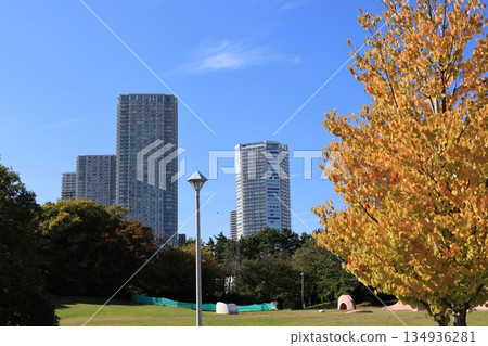 辰巳之森綠道公園塔古廣場的景色 134936281