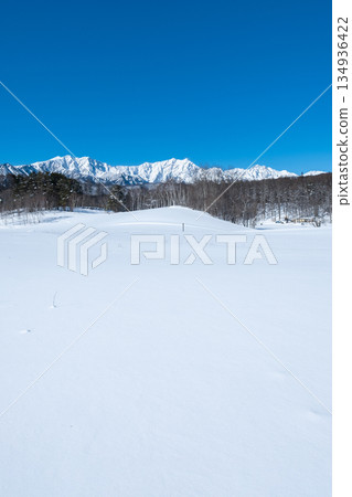 Nakayama Plateau Snow Trekking (View of the Northern Alps) 134936422
