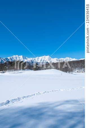 Nakayama Plateau Snow Trekking (View of the Northern Alps) 134936458