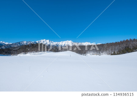 中山高原雪地健行（北阿爾卑斯山景色） 134936515