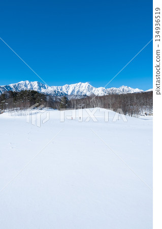 Nakayama Plateau Snow Trekking (View of the Northern Alps) 134936519