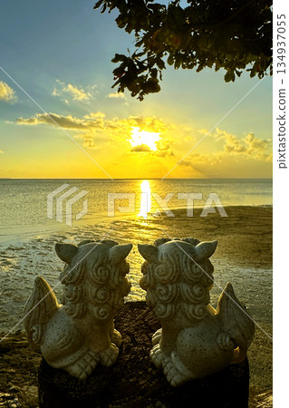 沖繩:一對石獅子夫婦凝望著海上的日落 沖繩:一對石獅子夫婦凝望著海上的日落 134937055