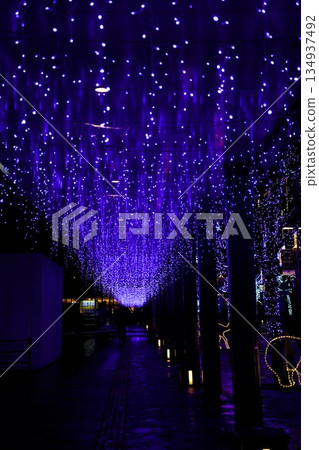 燈火通明的購物街 燈火通明的購物街 134937492