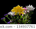A flower arrangement of chrysanthemums and statice against a black background 134937761