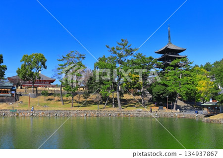 [Nara Prefecture] Kofukuji Temple in sunny weather (five-storied pagoda and Chukondo) 134937867