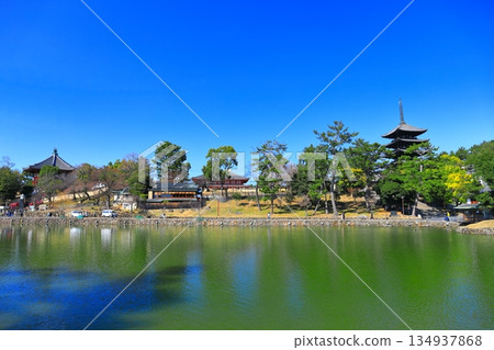 [奈良縣]晴天的興福寺（五層寶塔、中近堂、七園堂） 134937868
