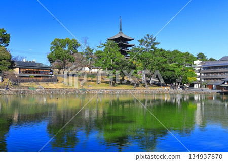 [奈良縣]晴天的興福寺（五層寶塔和猿澤池） 134937870
