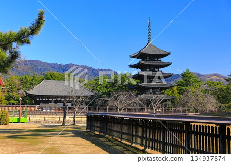 [奈良縣]晴天的興福寺（東金殿和五層塔） 134937874
