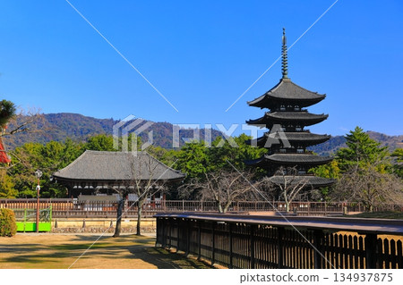 [奈良縣]晴天的興福寺（東金殿和五層塔） 134937875