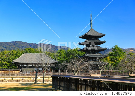 [奈良縣]晴天的興福寺（東金殿和五層塔） 134937876