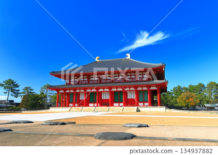 [奈良縣]晴天的興福寺（中近堂） 134937882