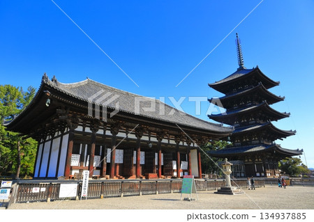 [Nara Prefecture] Kofuku-ji Temple in sunny weather (East Golden Hall and five-storied pagoda) 134937885