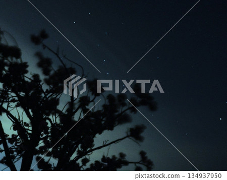 夜晚從公園看到的夜空 134937950