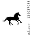 Silhouette of a running horse 134937983