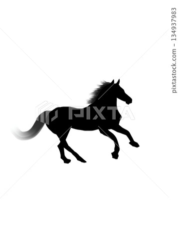 Silhouette of a running horse 134937983