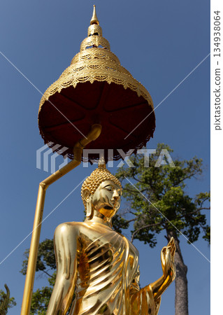 Golden Buddha Statue Standing Outdoors in Ayutthaya Province 134938064