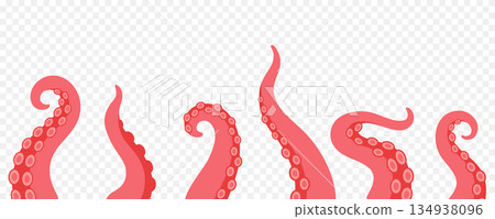 Squid tentacles with suction cups. Cartoon curled octopus arms for fantasy monsters, marine biology and underwater nautical design 134938096