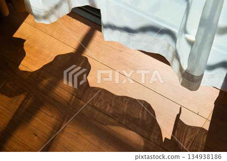 Curtains (sunlight) Curtains (sunlight) 134938186