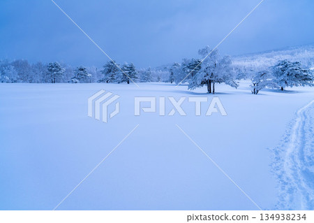 [Winter material] Silvery frost landscape [Nagano Prefecture] 134938234