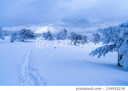 [Winter material] Silvery frost landscape [Nagano Prefecture] 134938236