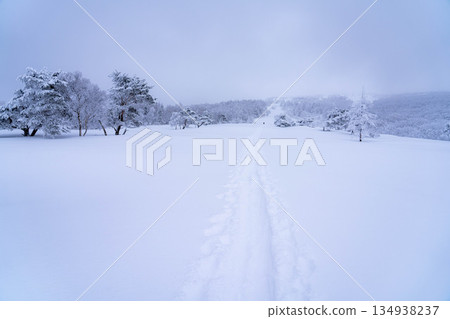 [Winter material] Silvery frost landscape [Nagano Prefecture] 134938237